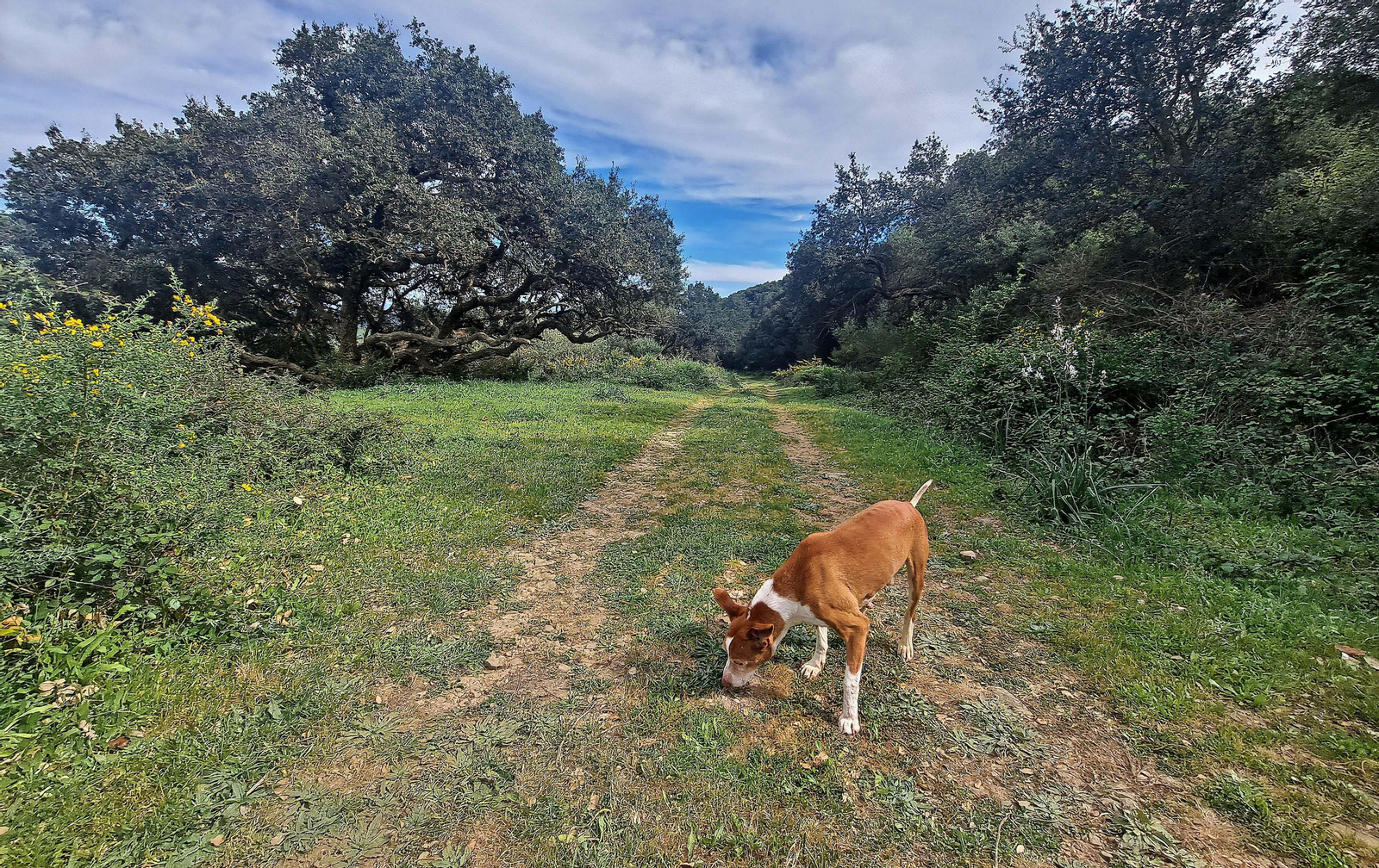 Fotos de la ruta de El Bujeo en Algeciras