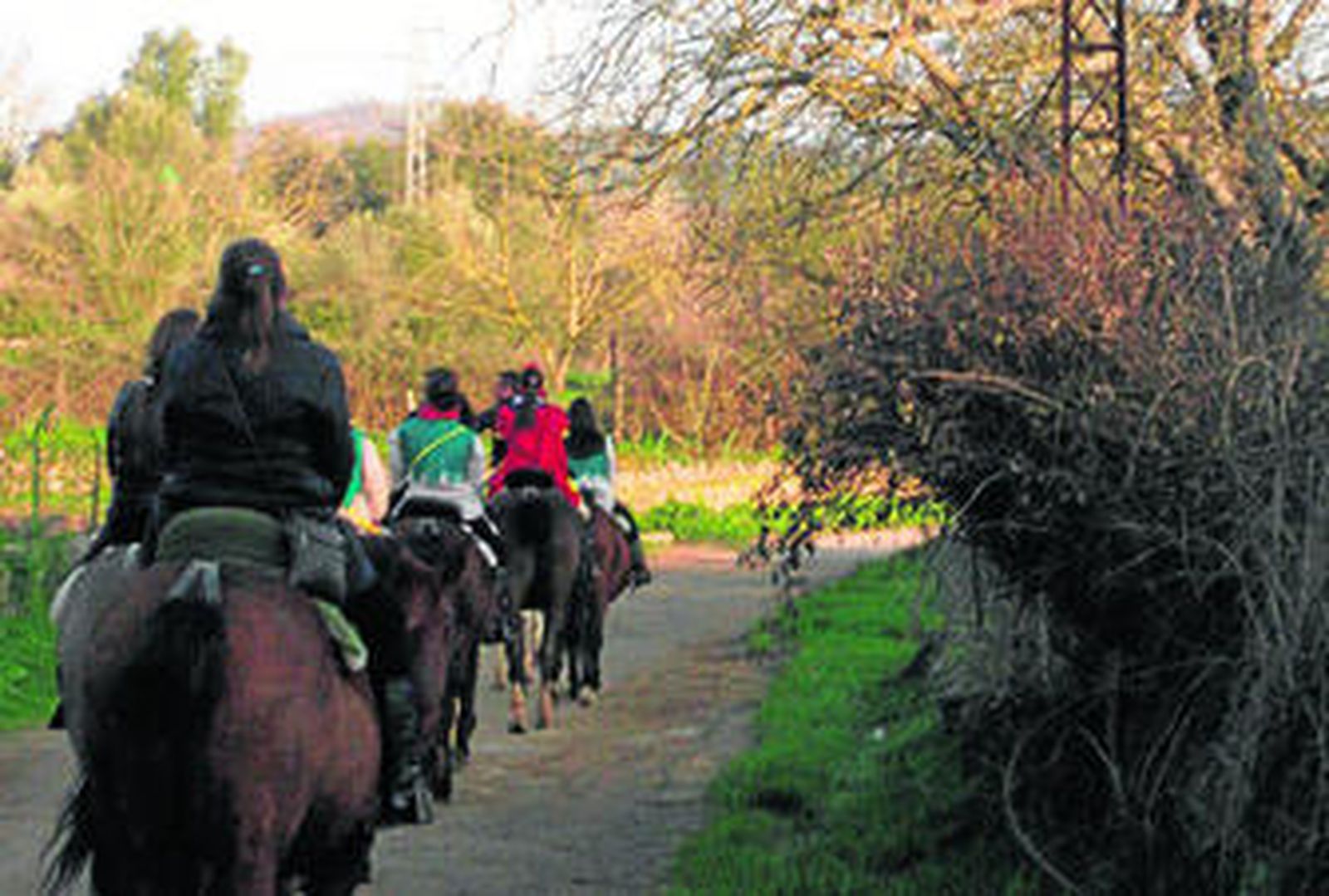 La ruta discurre por un inmenso bosque galería que acompañará a los participantes.