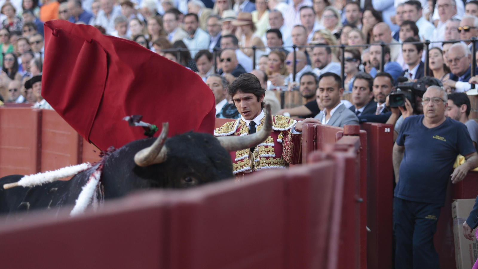 Las imágenes de la corrida de Los Miura