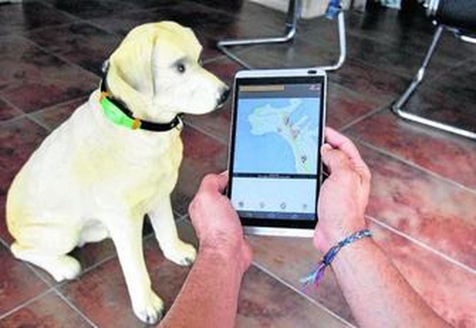 La aplicación muestra al instante en qué emplazamiento se encuentra la mascota.