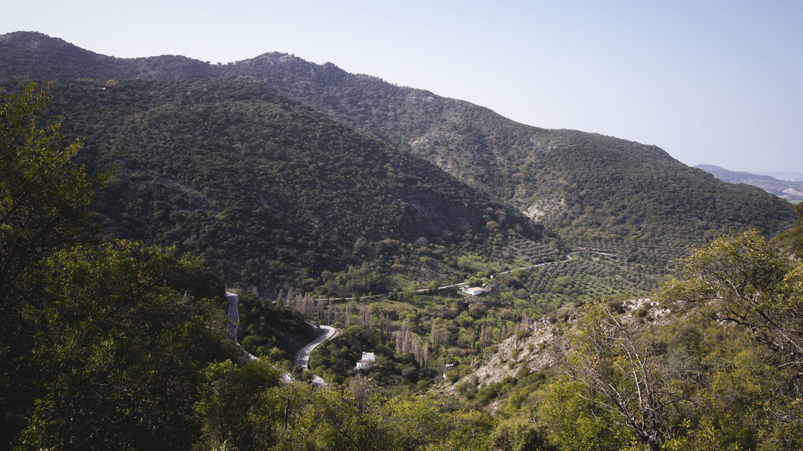 Ruta Puerto del Palo