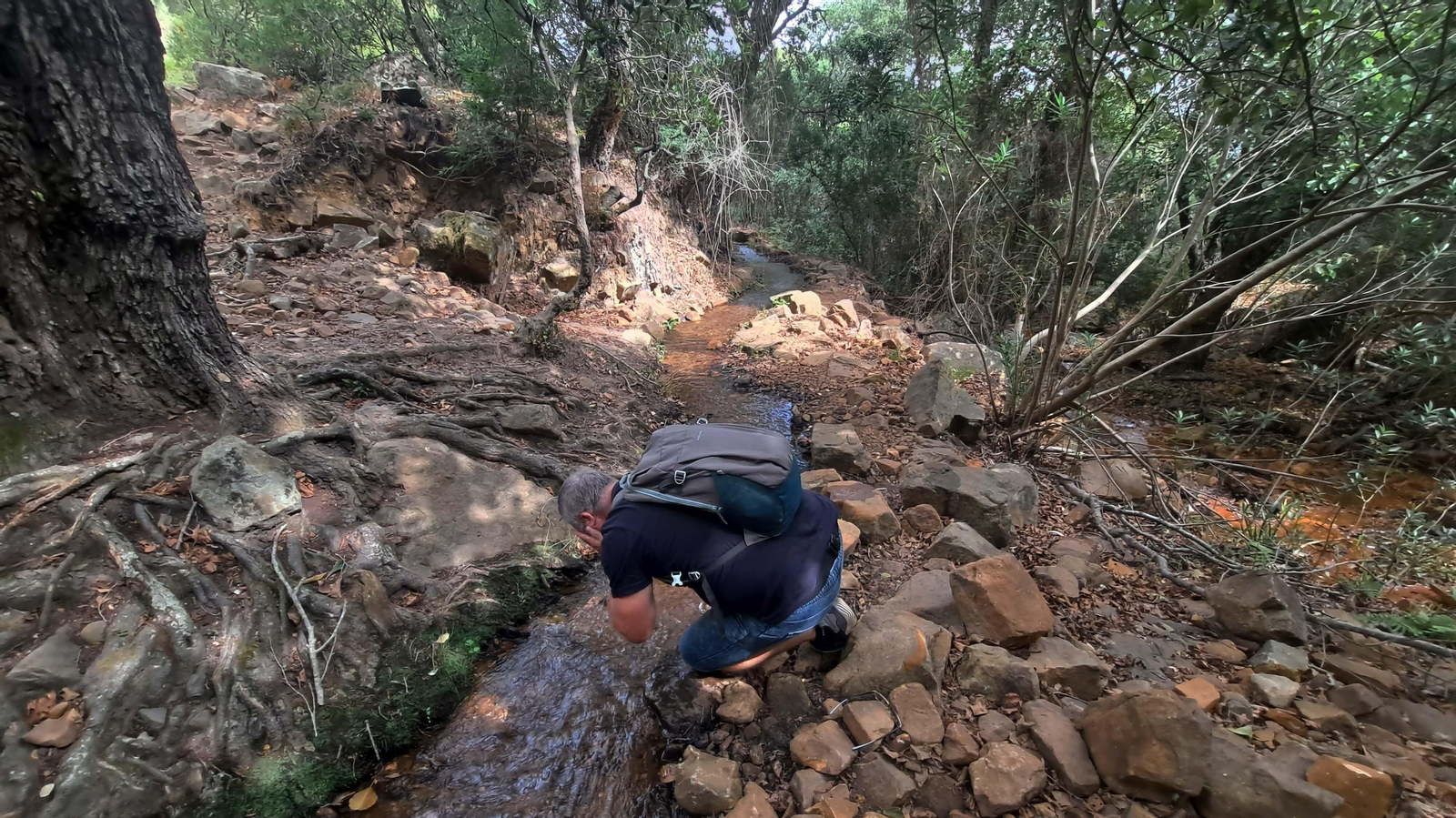 Fotos del sendero de la garganta del Rayo en Tarifa