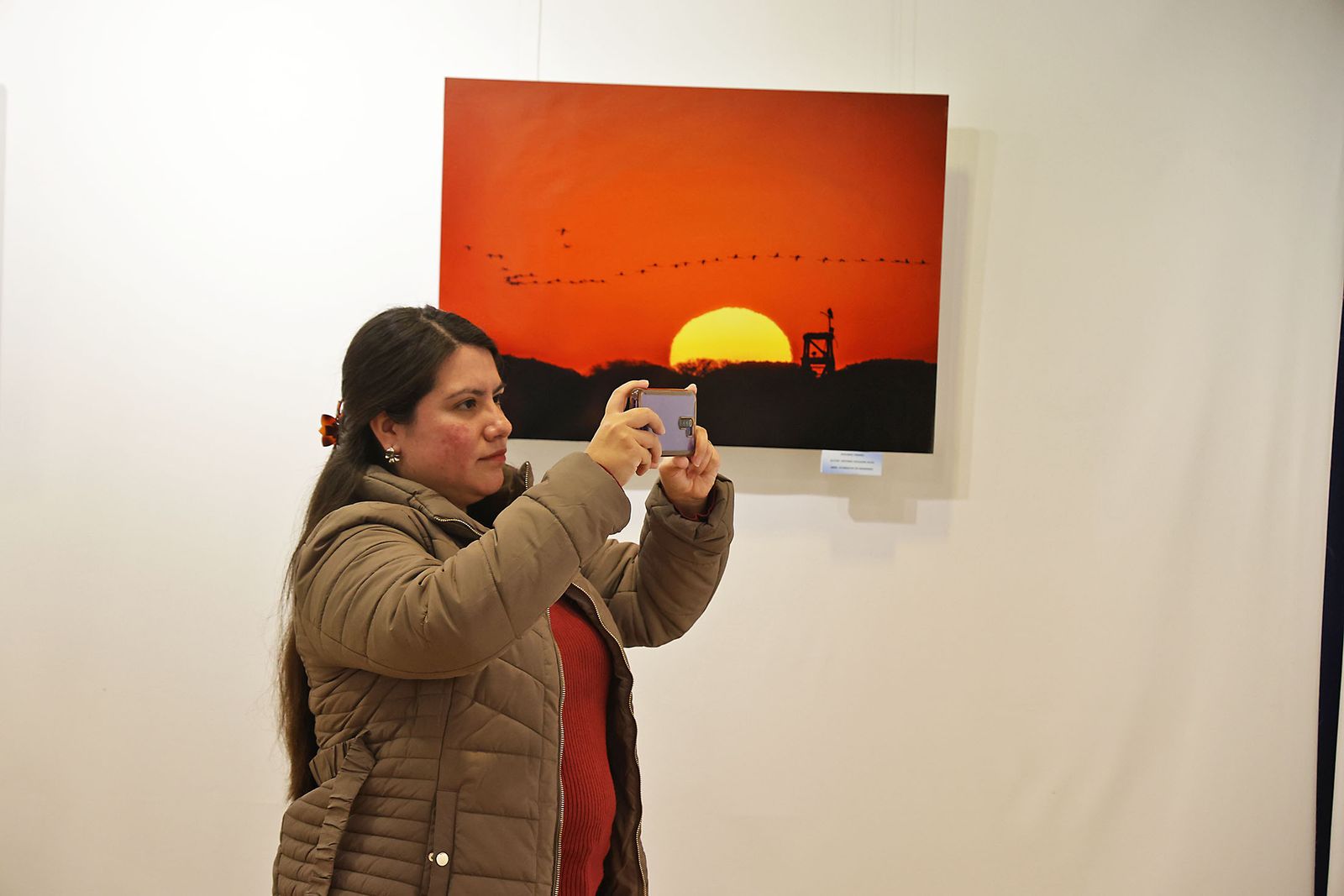 Exposición del Concurso de Fotografía 'Alas del Odiel'