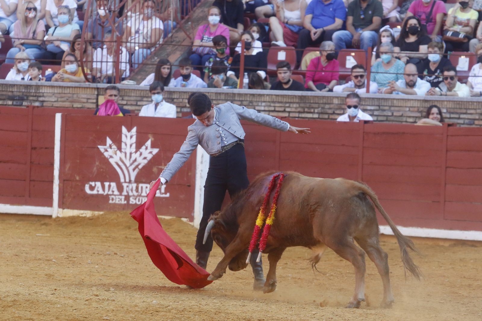 La becerrada del Círculo Taurino de Córdoba en el Coso de los Califas, en fotos