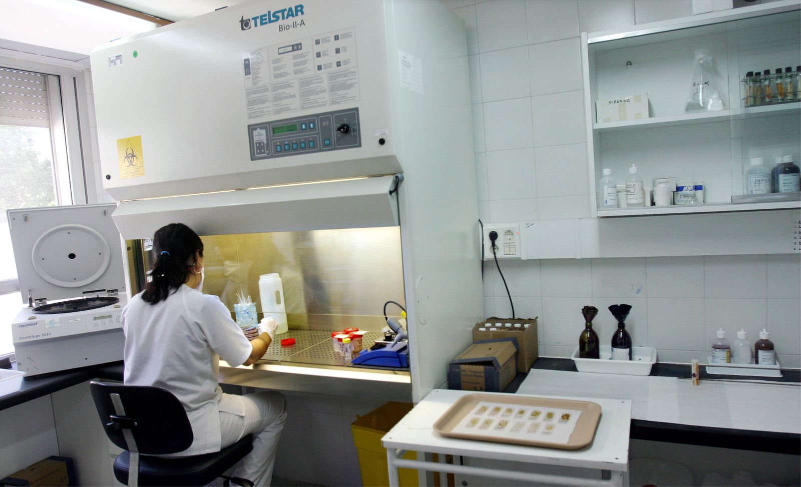 Una joven investiga en un laboratorio.