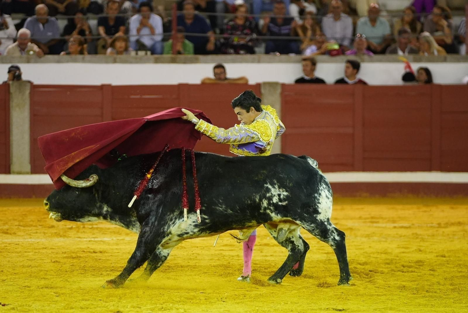 Las mejores imágenes de las corridas de toros de la Feria de Pozoblanco