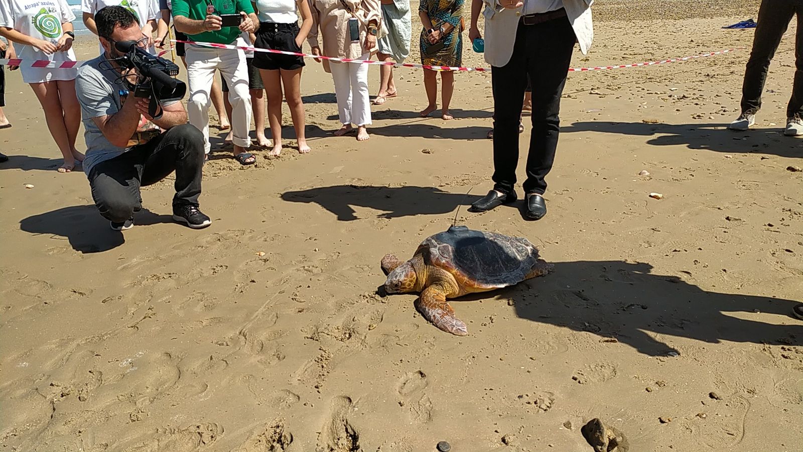 Suelta de tortugas marinas en la playa de Camposoto