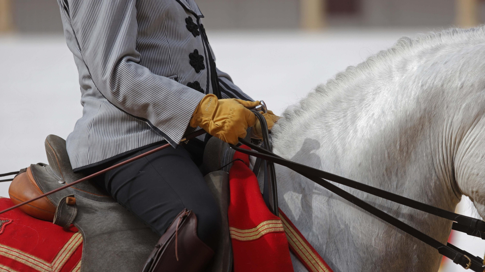 Fotos del espectáculo 'Cómo bailan los caballos andaluces' en San Roque