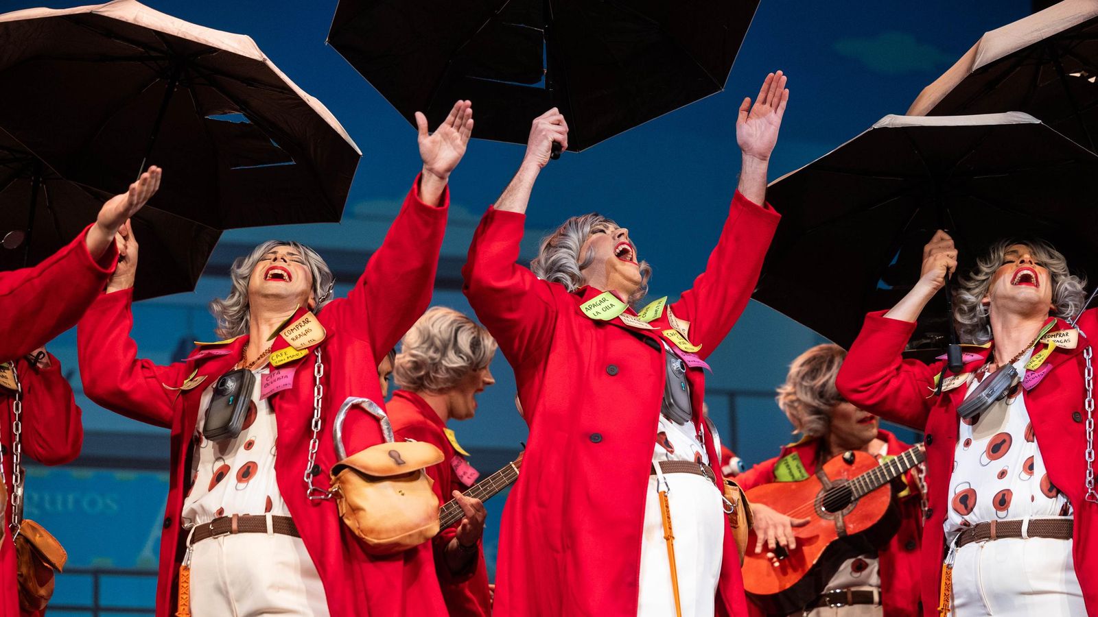 Chirigota 'Por si acaso... las precavidas' foto Lourdes de Vicente8.jpg