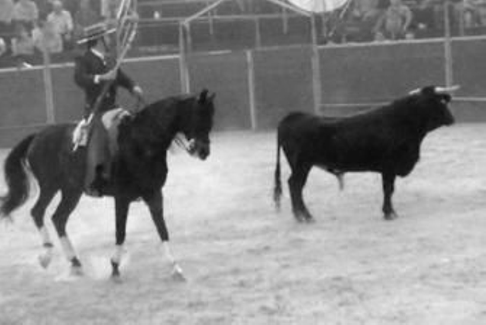 El rejoneador trata de citar al toro, que permaneció indiferente, durante la corrida celebrada en Píñar el pasado 3 de mayo.
