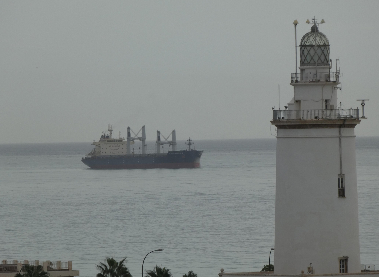 El ‘Tomini Oroshi’ fondeado a la espera para entrar y descargar 22.000 toneladas de pipas de girasol.