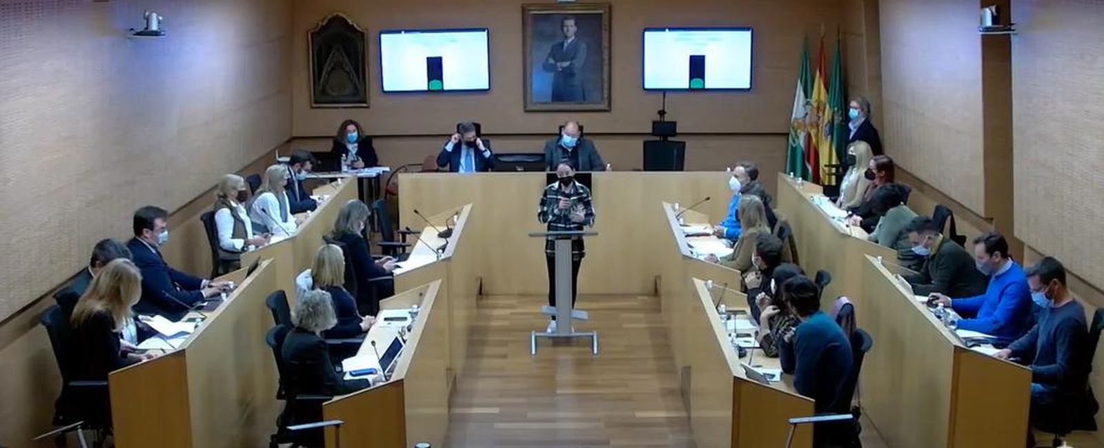 La representante de La Gaviota,  durante su intervención en el pleno.