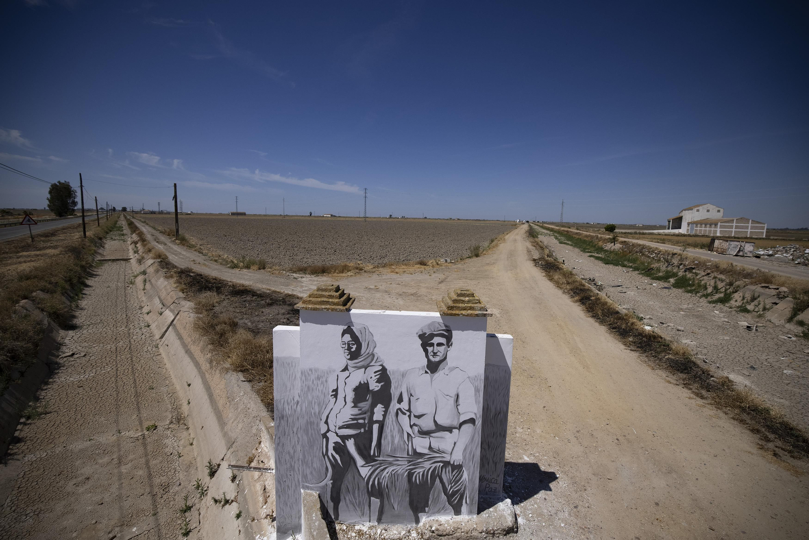 Las fotos de la sequía que sufren los cultivos de arroz en Isla Mayor