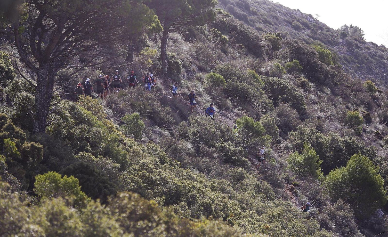 El XVII Maratón Alpino Jarapalos, en imágenes