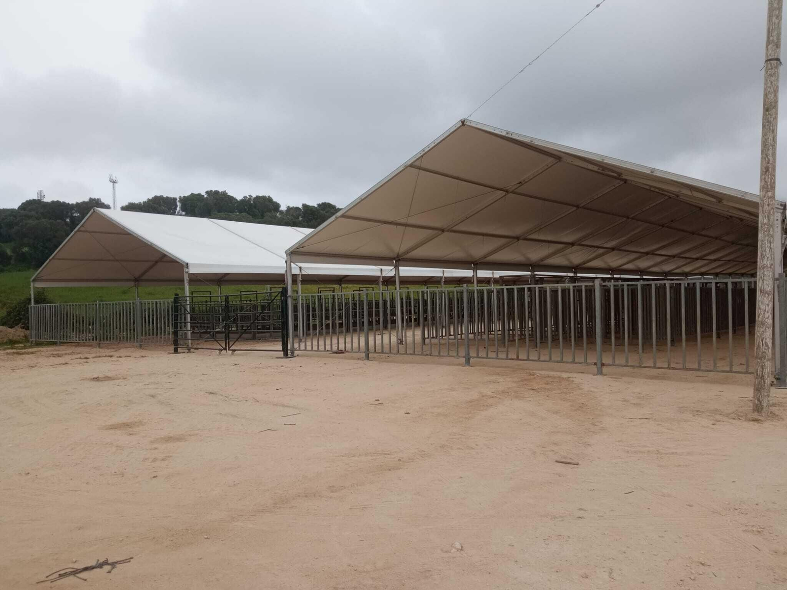 El recinto de exposiciones ganaderas se ha instalado a pesar de no haber concurso.