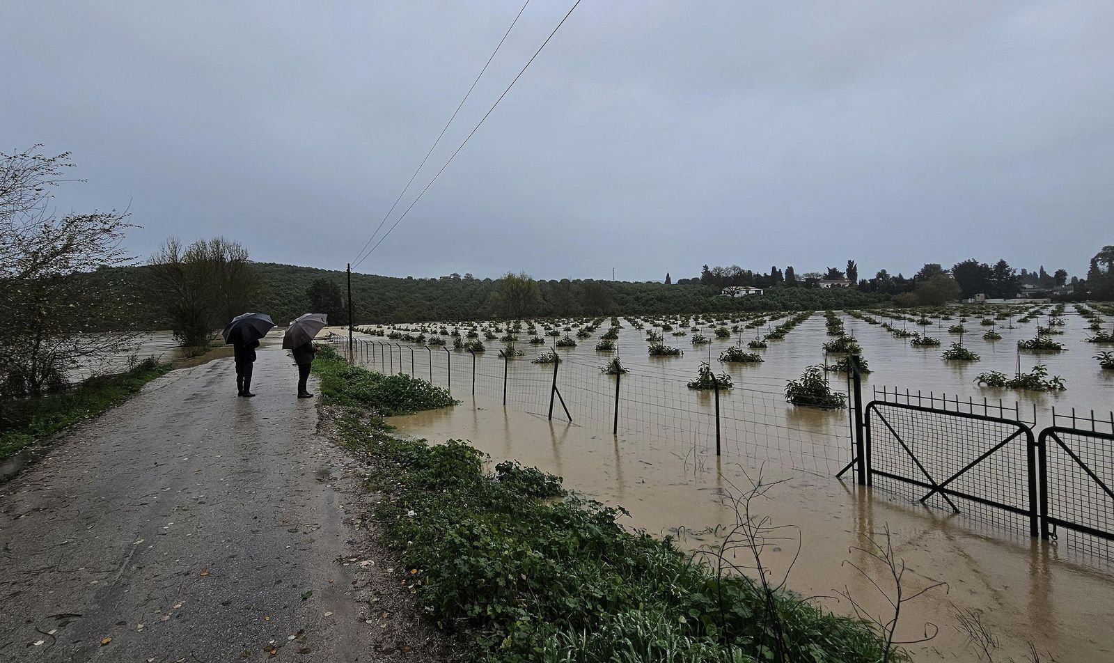 Fotos del temporal de lluvia y viento por la borrasca Kristin en Jimena de la Frontera, San Pablo de Buceite y San Martín del Tesorillo