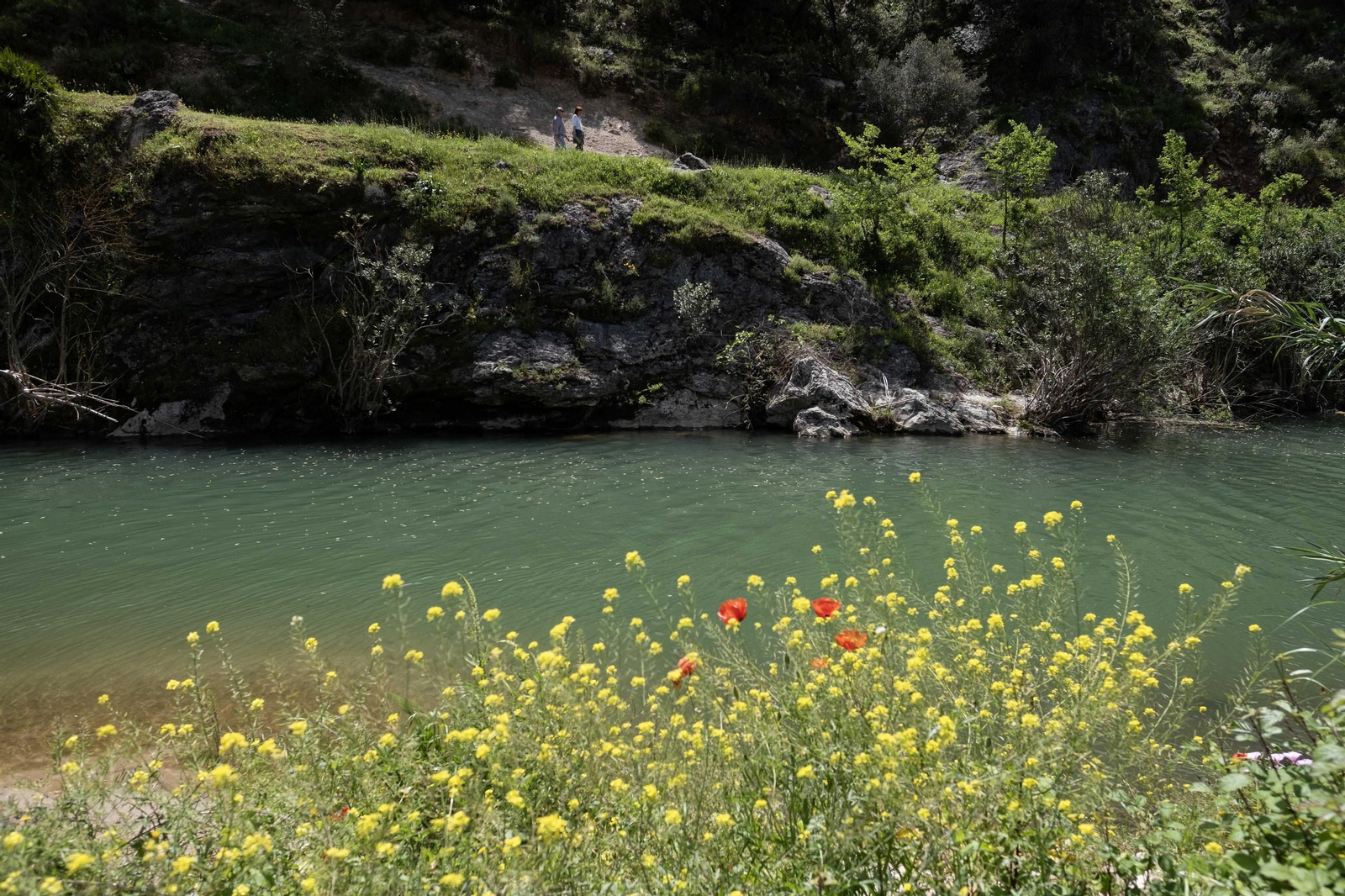 Primavera en la Serranía de Ronda, en imágenes.