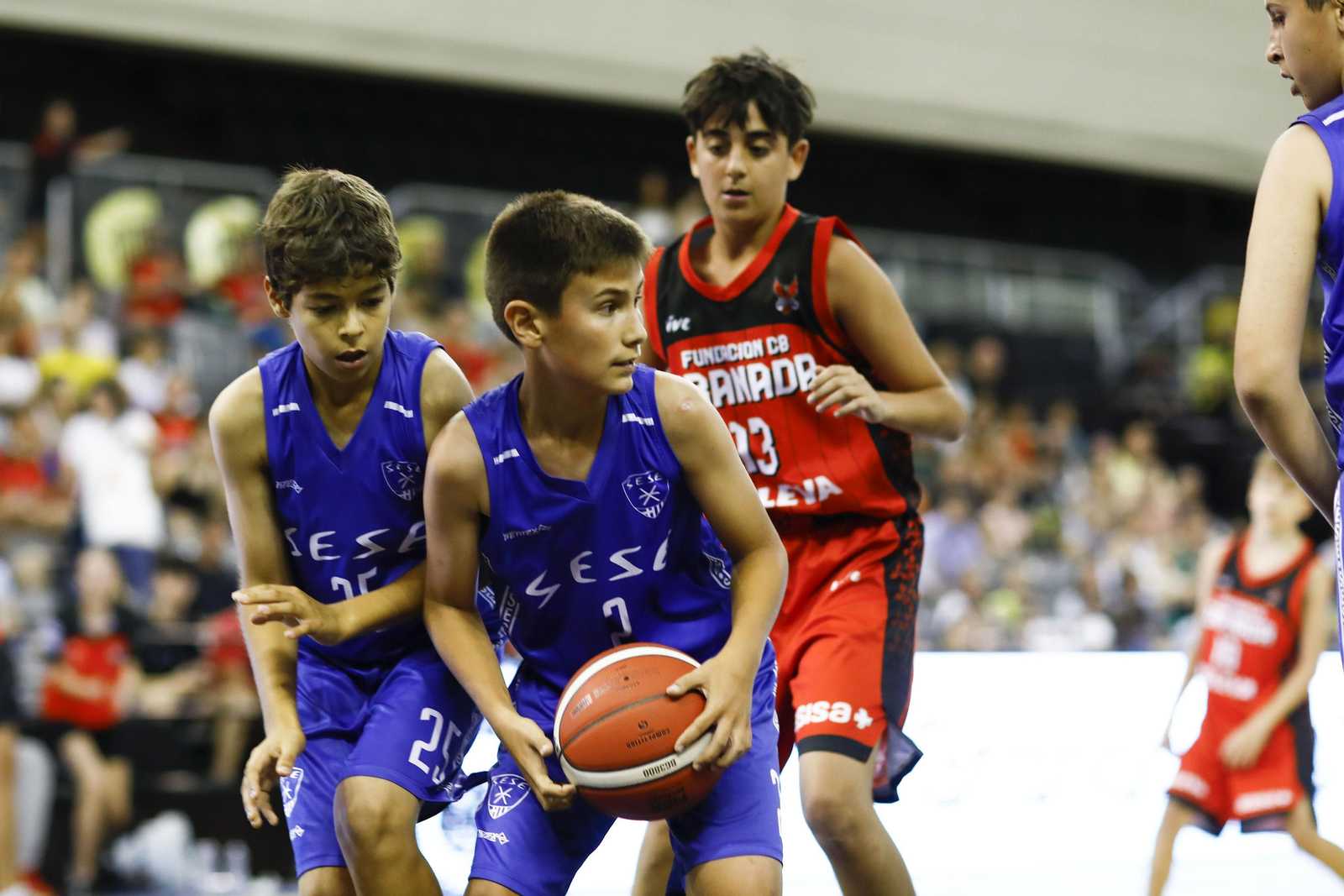 Encuéntrate en el partido del Fundación CB Granada de minibasket