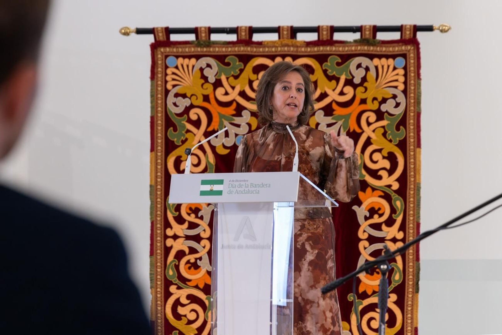 Acto del Día de la Bandera