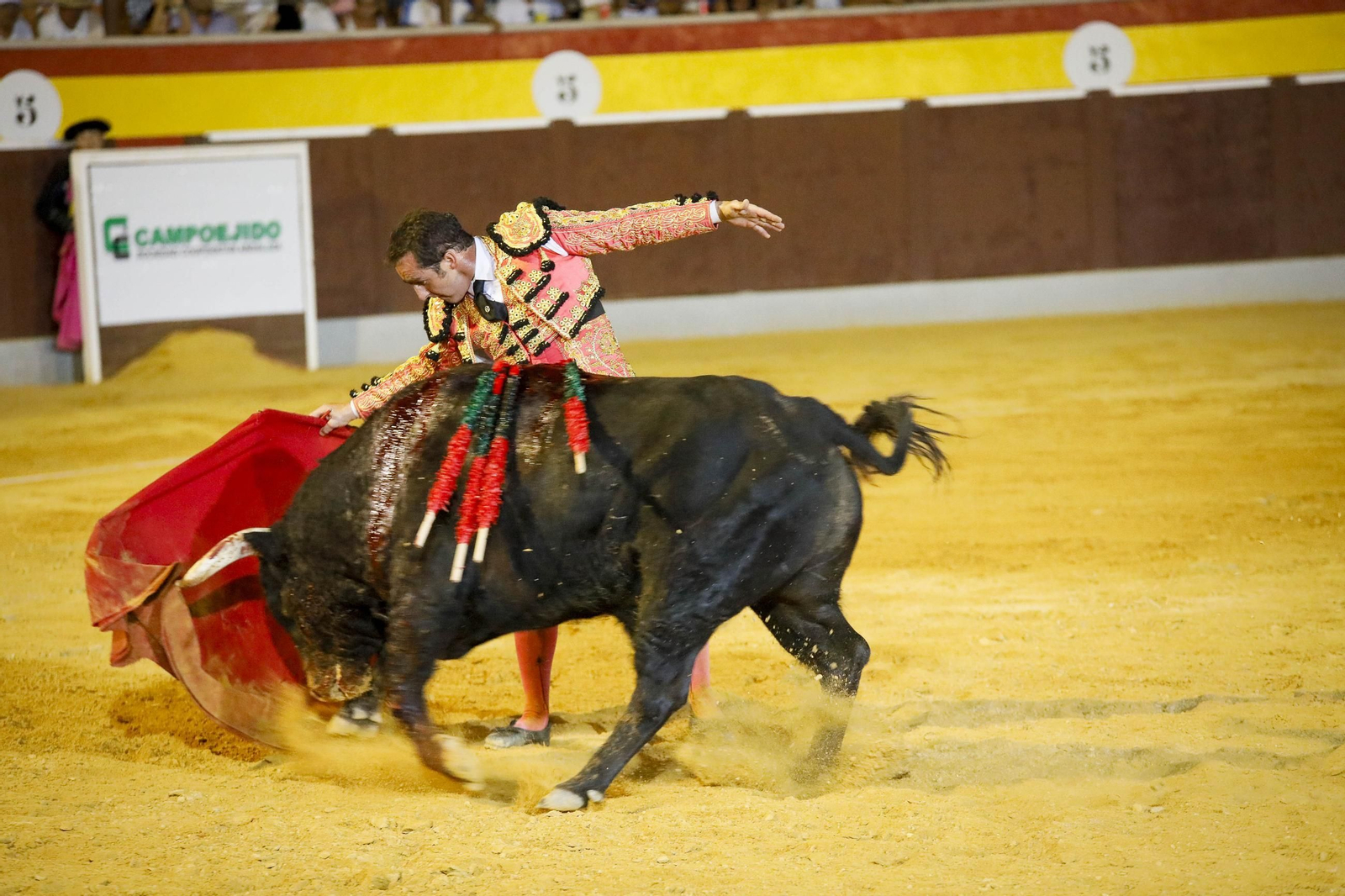 Corrida de toros Berja con un toro indultado, en imágenes