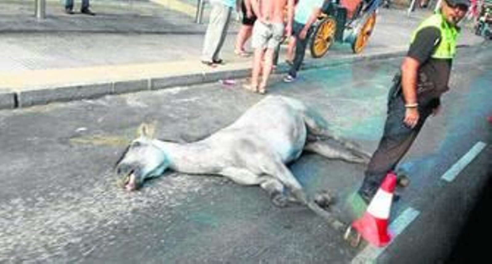 El caballo tendido en la calzada.