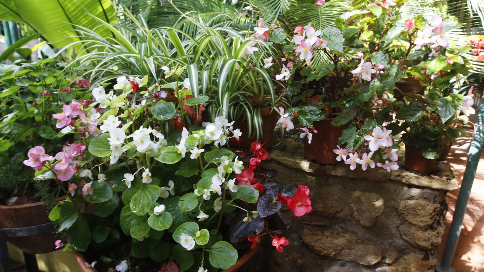 Detalle de Plaza de las Tazas, 11