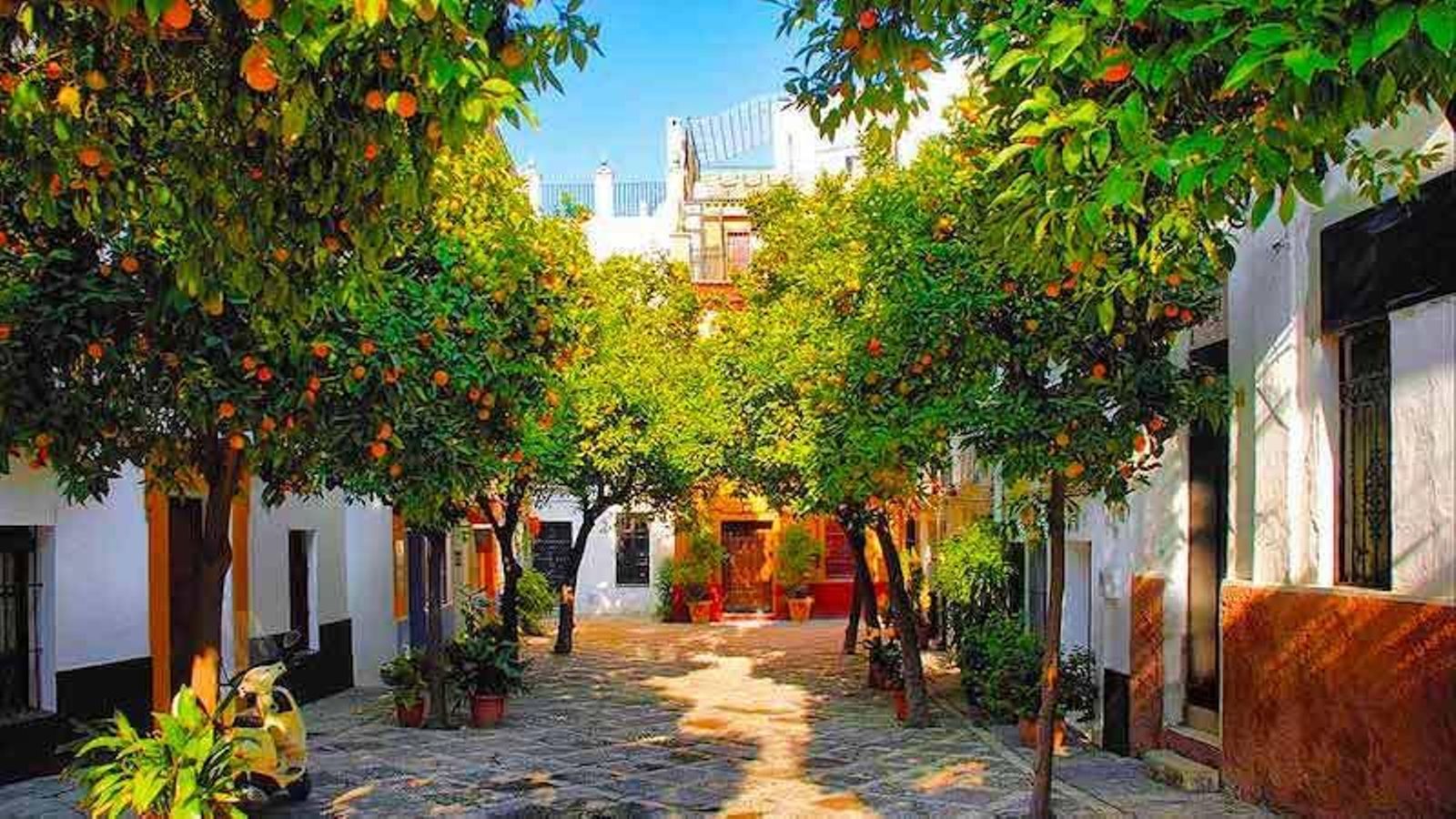 barrio-de-santa-cruz-de-sevilla