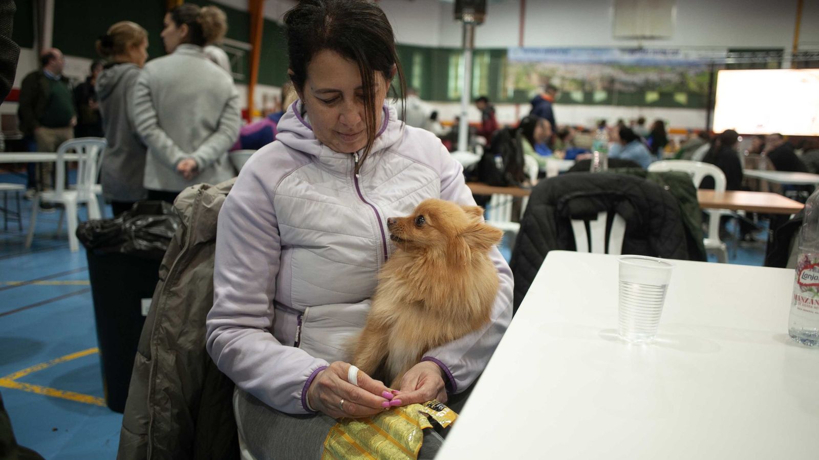 Las mascotas también sufren los efectos del desalojo.