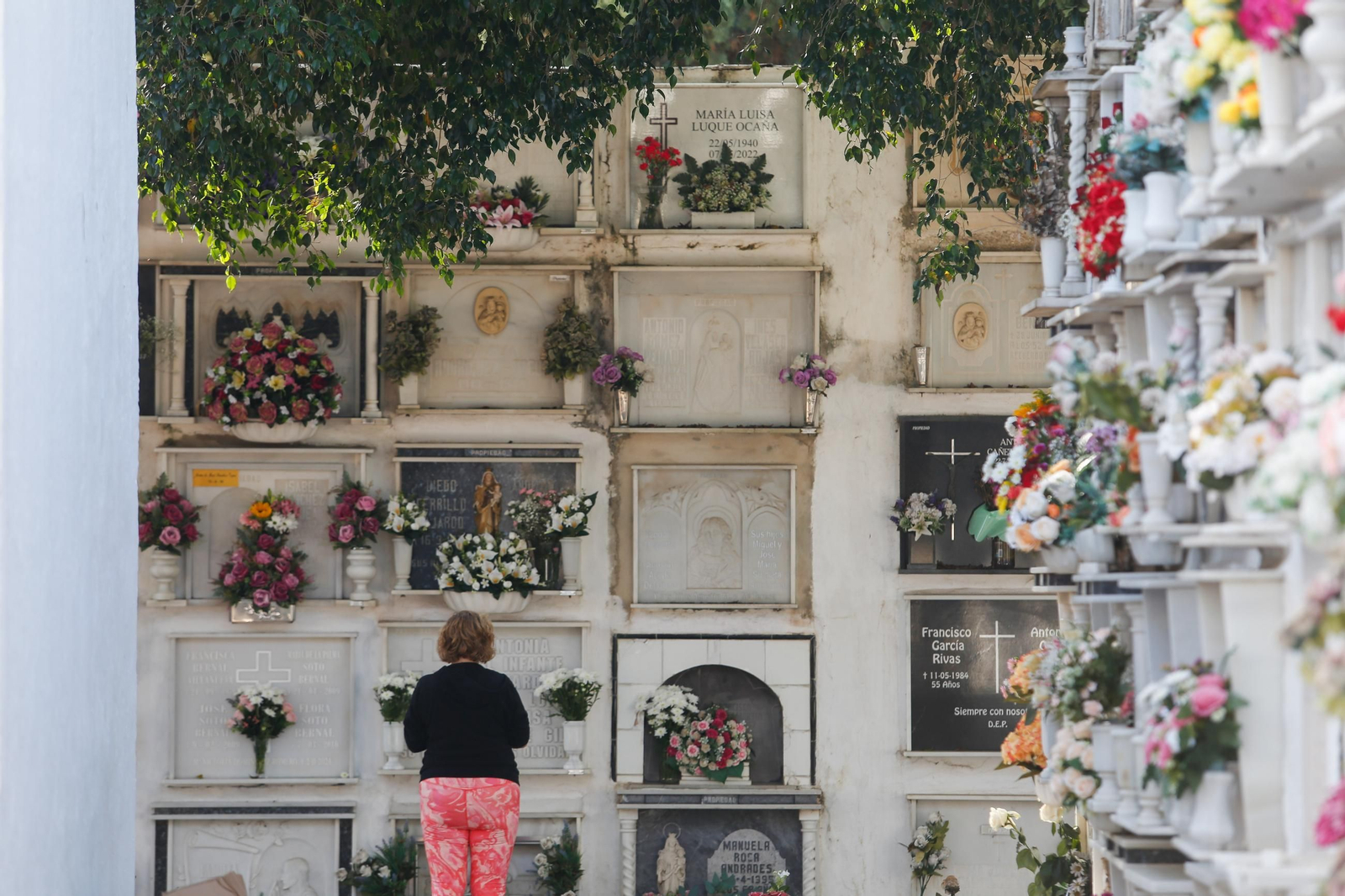 El Día de Todos los Santos en Algeciras, en imágenes