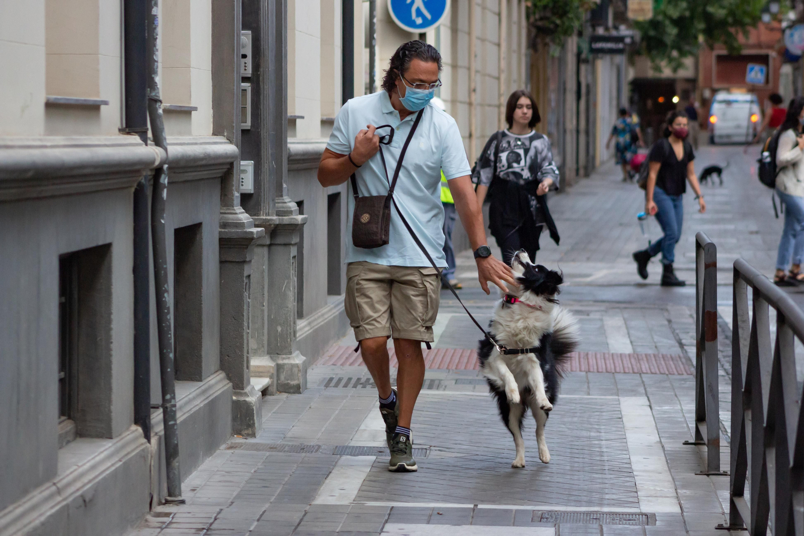 Un hombre pasea con su perro