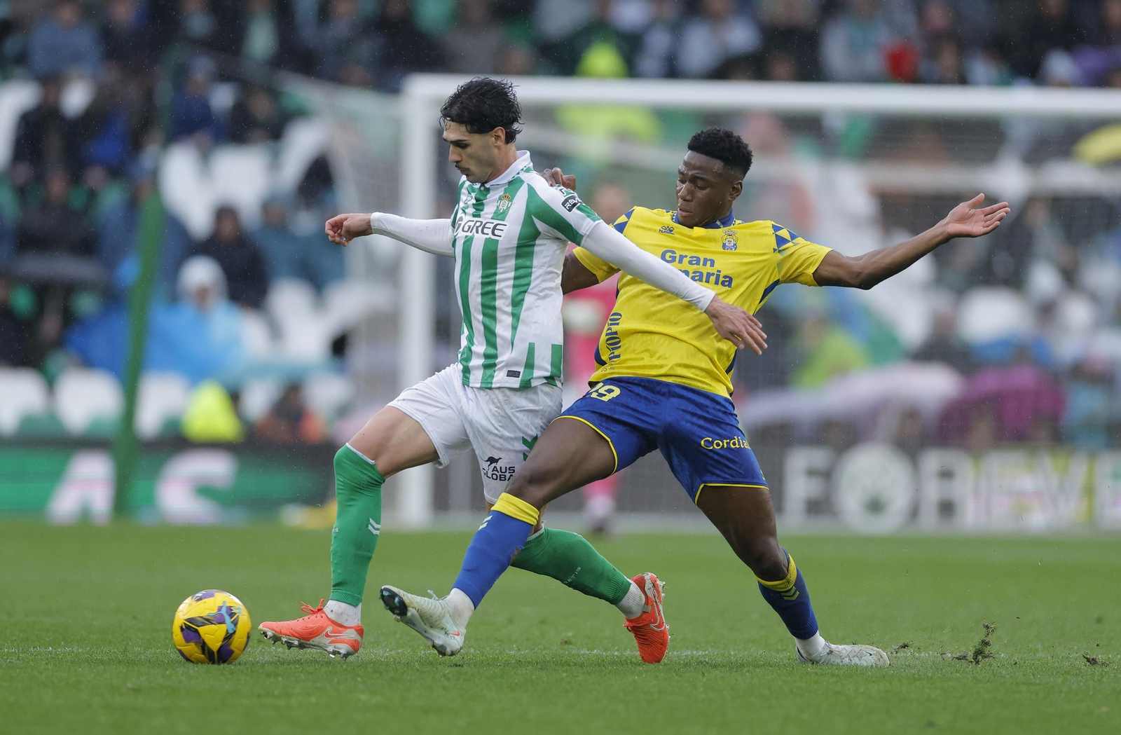 Las fotos del Betis - Las Palmas