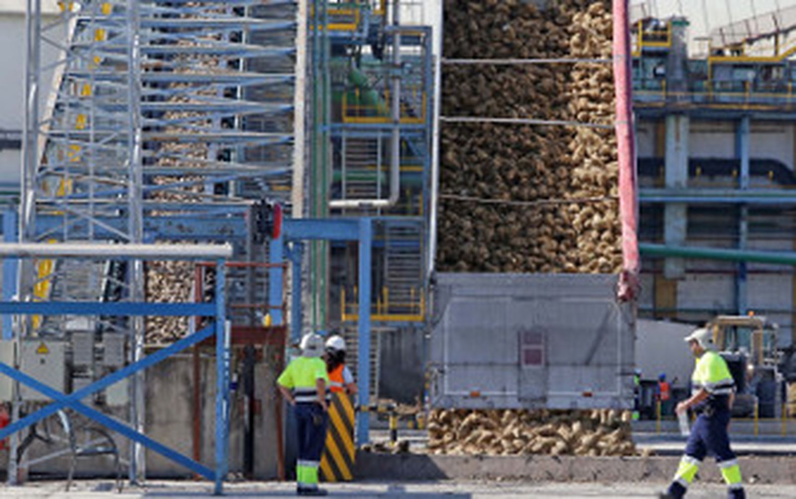 Agosto barre con mil empleos en Jerez