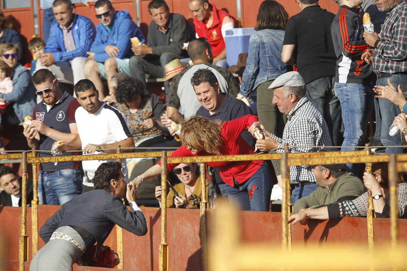 Fotogalería Festival Taurino Mixto. Fiestas de Abrucena.