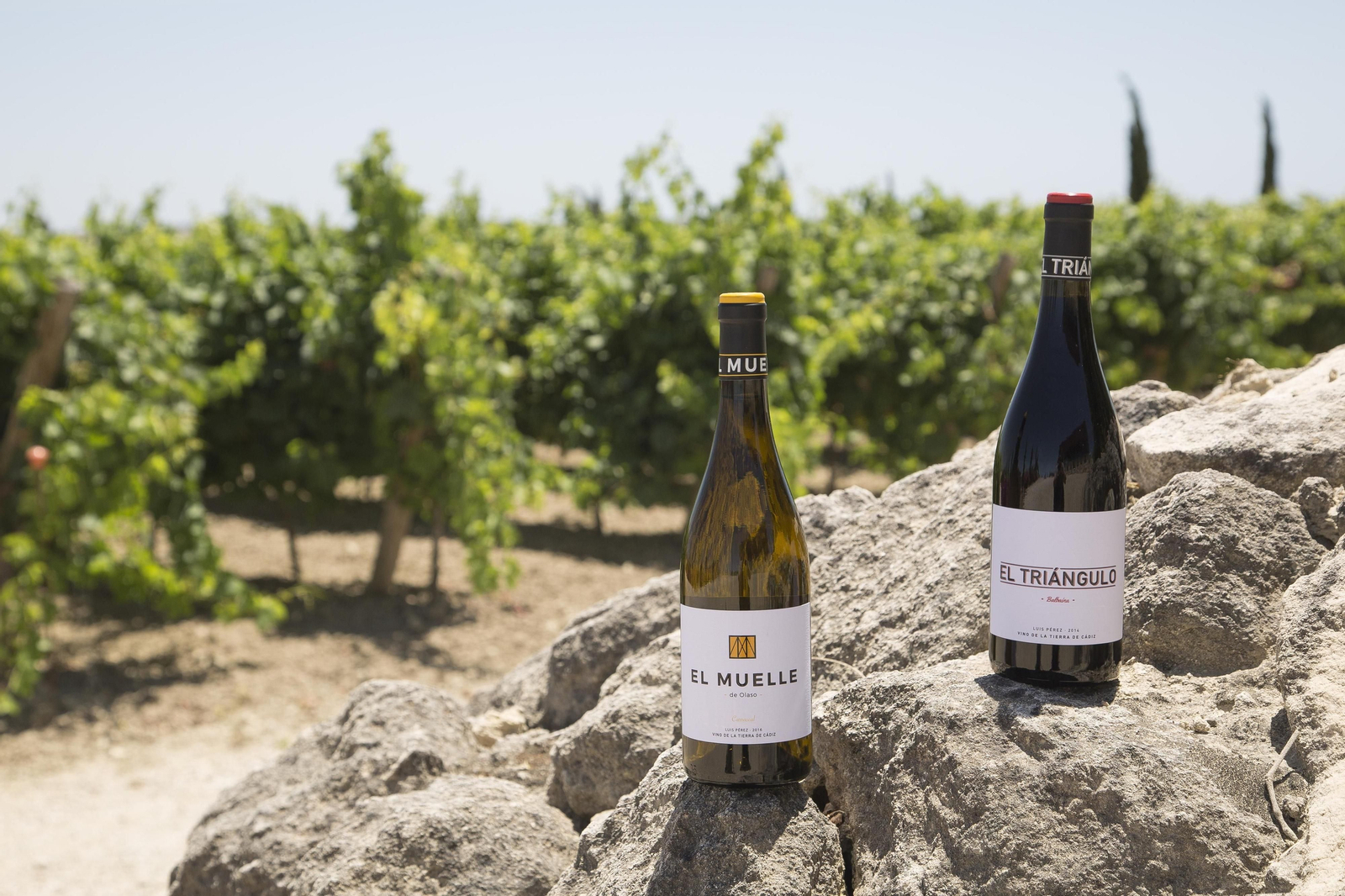 El Muelle de Olaso, un blanco, y El Triángulo, un tinto, son los nuevos vinos de Bodegas Luis Pérez.