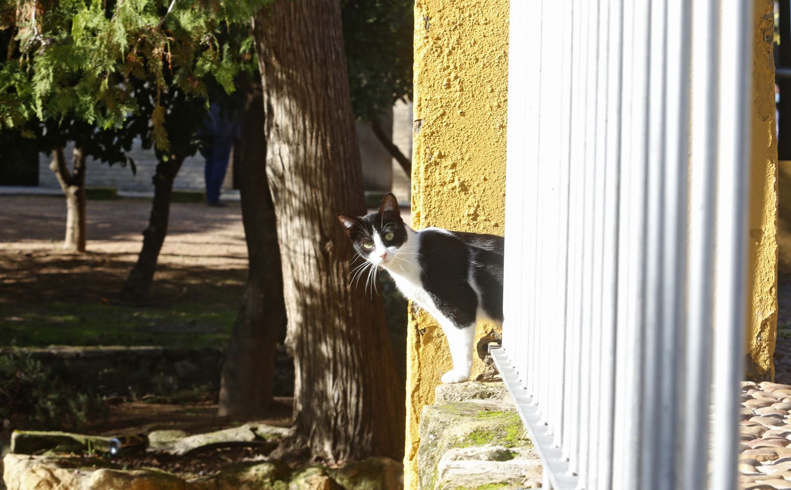 El otoño en Córdoba, en fotografías
