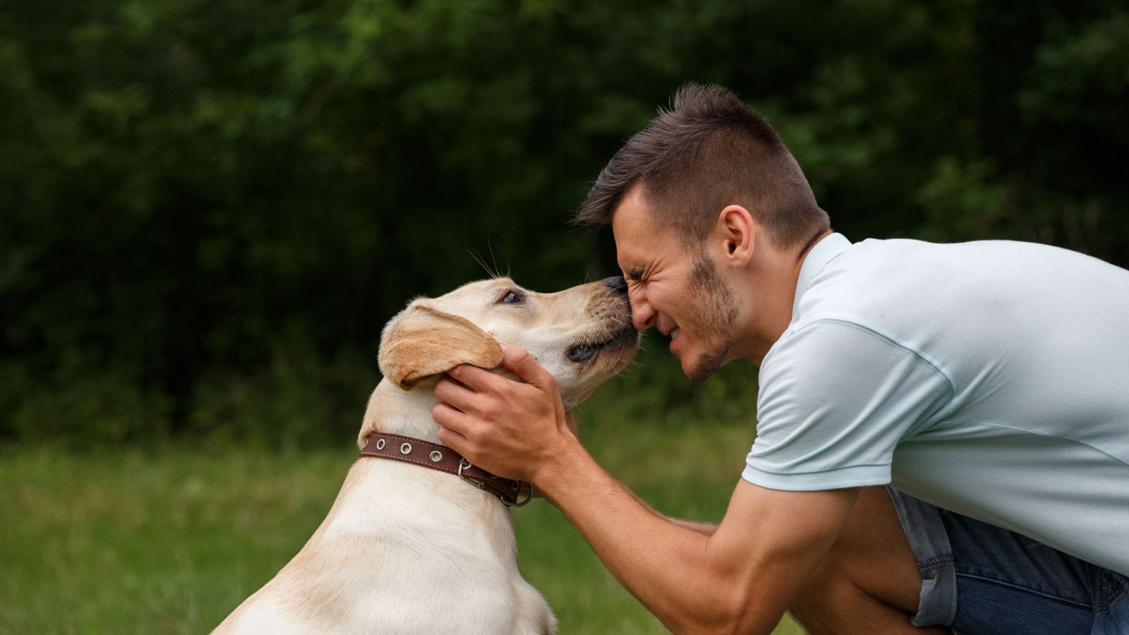 Tu perro podría ayudarte con el estrés de los exámenes