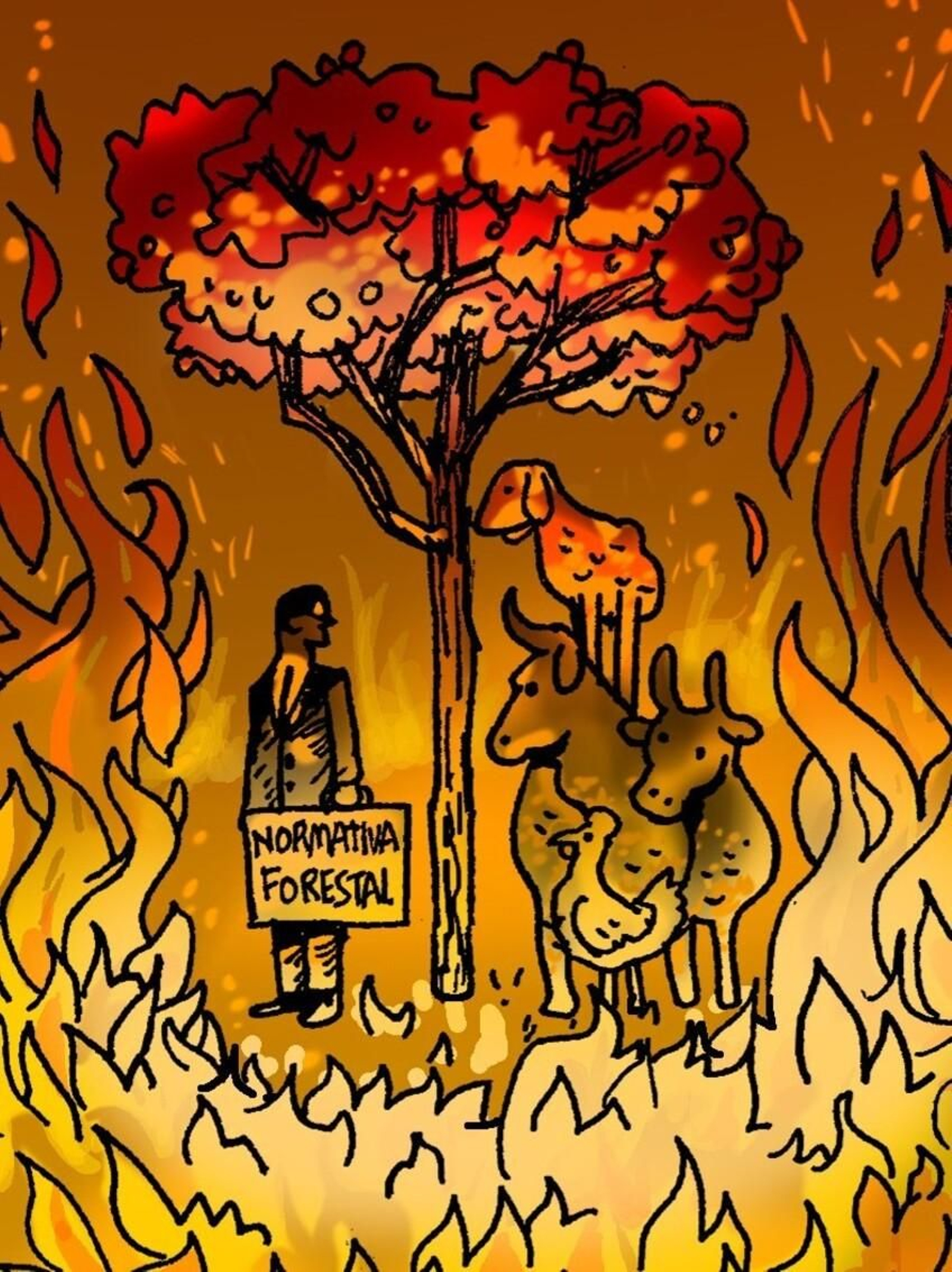 Cuando el monte lo cuidaba el pueblo