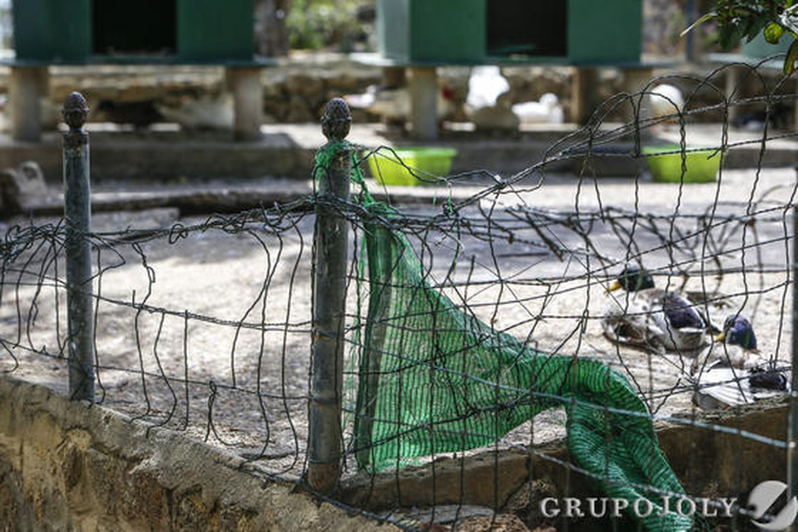 Foto: Julio Gonzalez