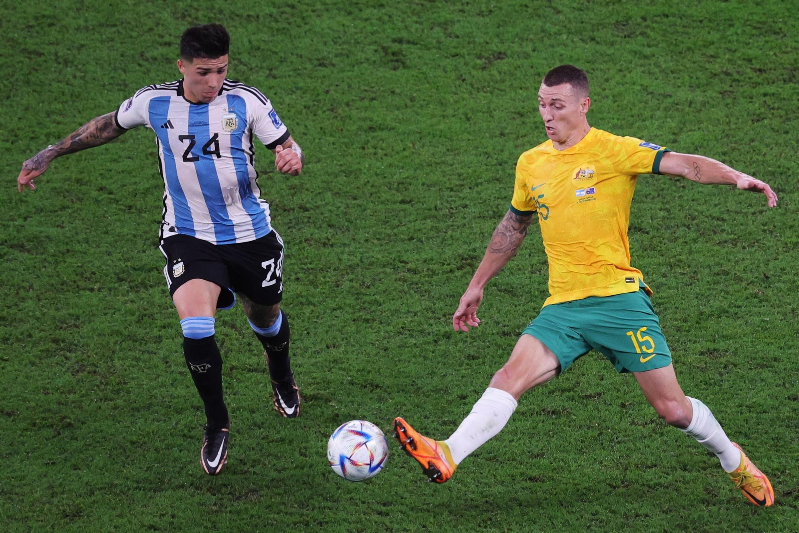 Las fotos del Argentina - Australia