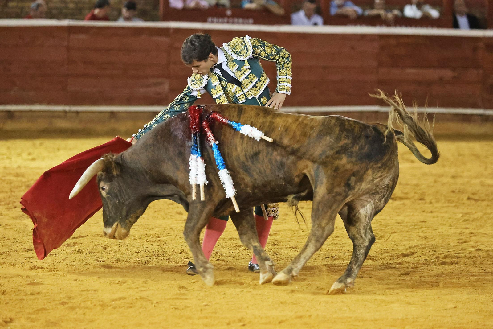 Toros La Merced 2024 Novillada con picadores(