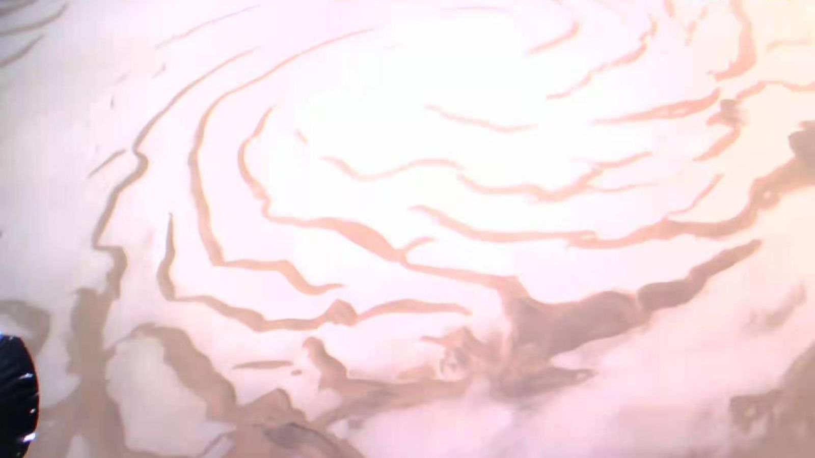 Imagen mostrada por el orbitador