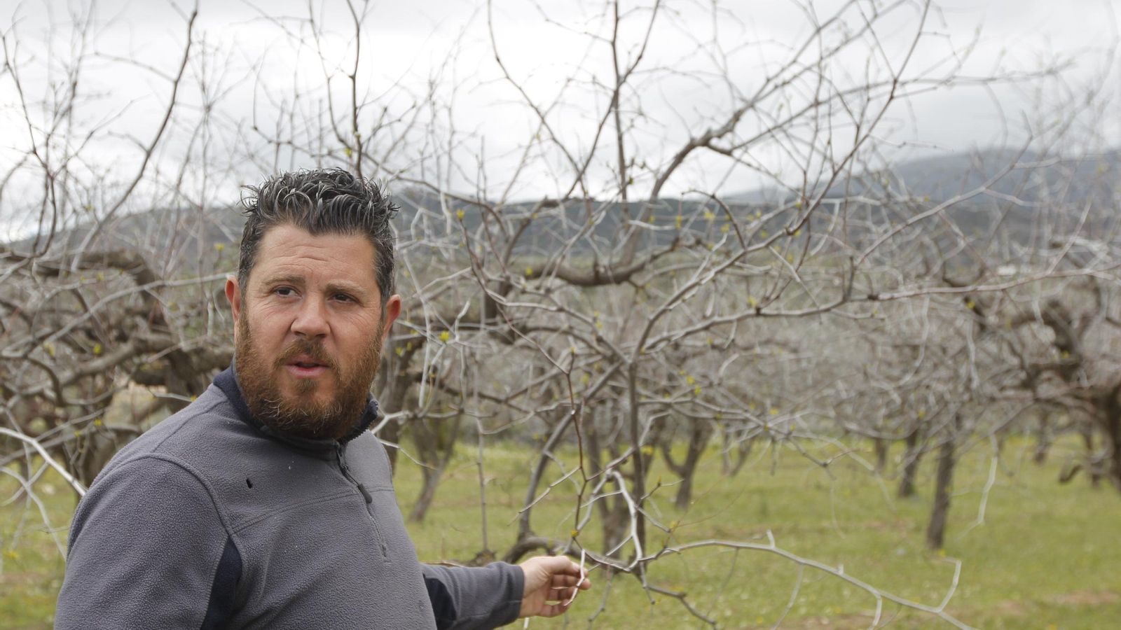 Francisco muestra sus azufaifos, otro de los cultivos que cuidan.
