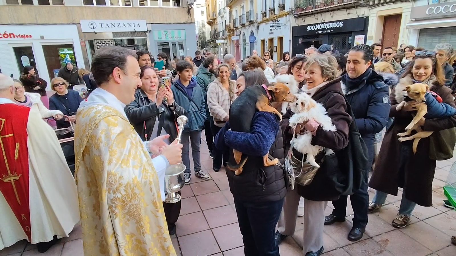 La bendición de animales por San Antón en Córdoba