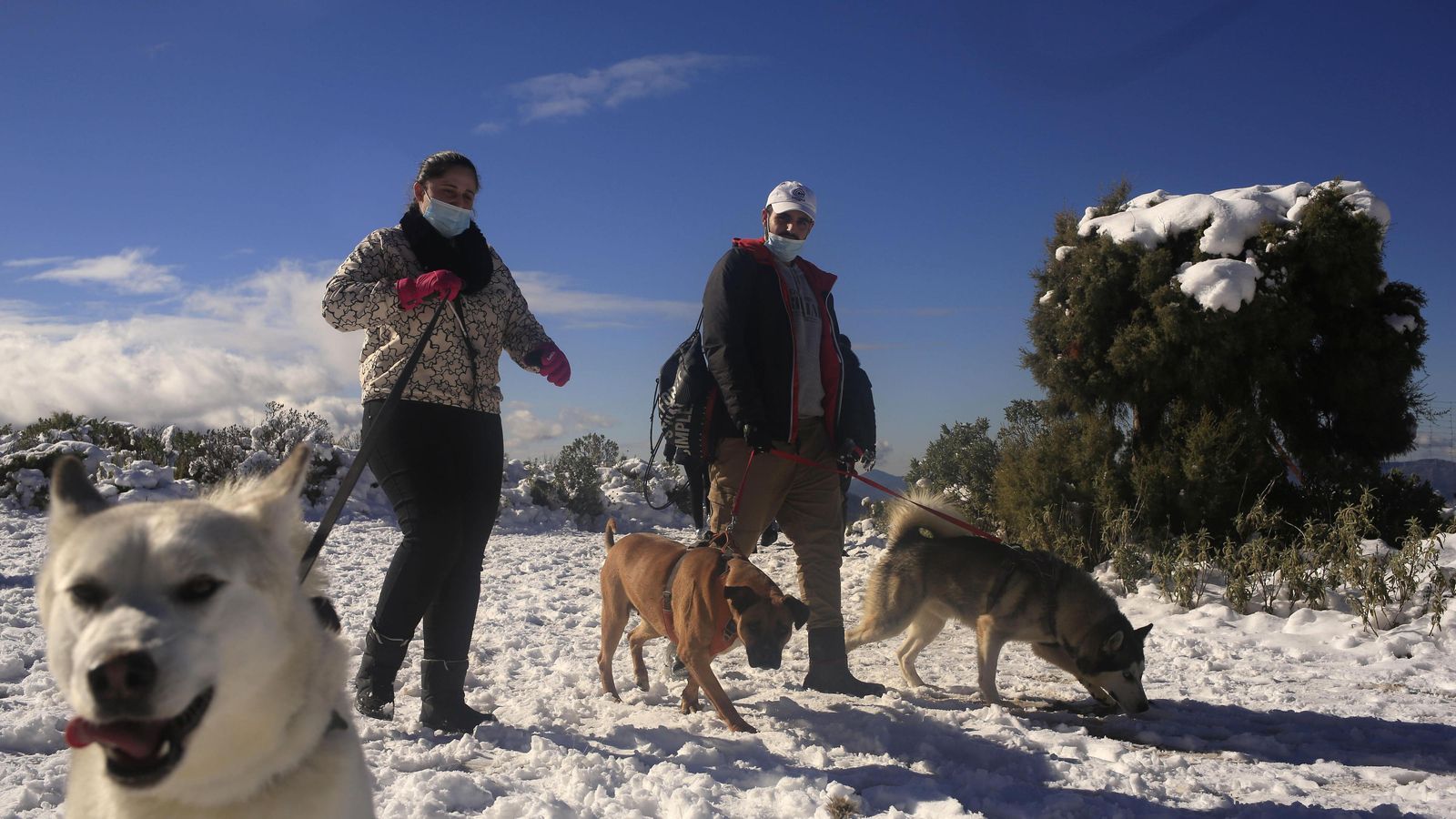 Imagen de la nevada en la reciente borrasca Filomena.
