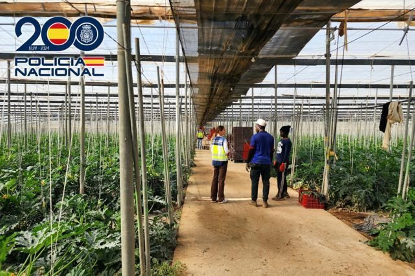Finca del paraje El Algarrbo (Vícar) donde fueron localizados los trabajadores en situación irregular.