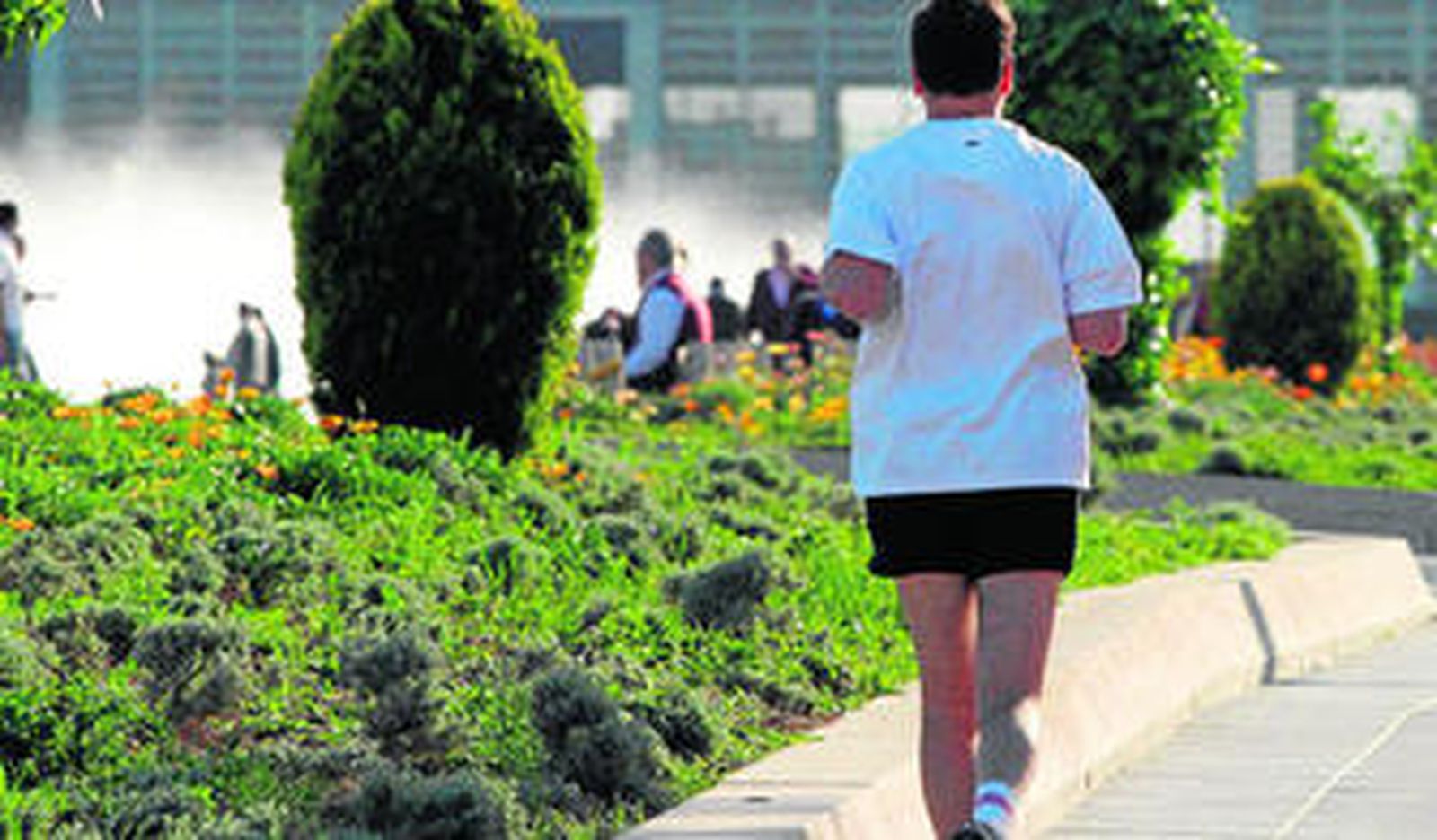 Hacer ejercicio físico al menos tres veces a la semana disminuye los factores de riesgo para la enfermedad cardiovascular.