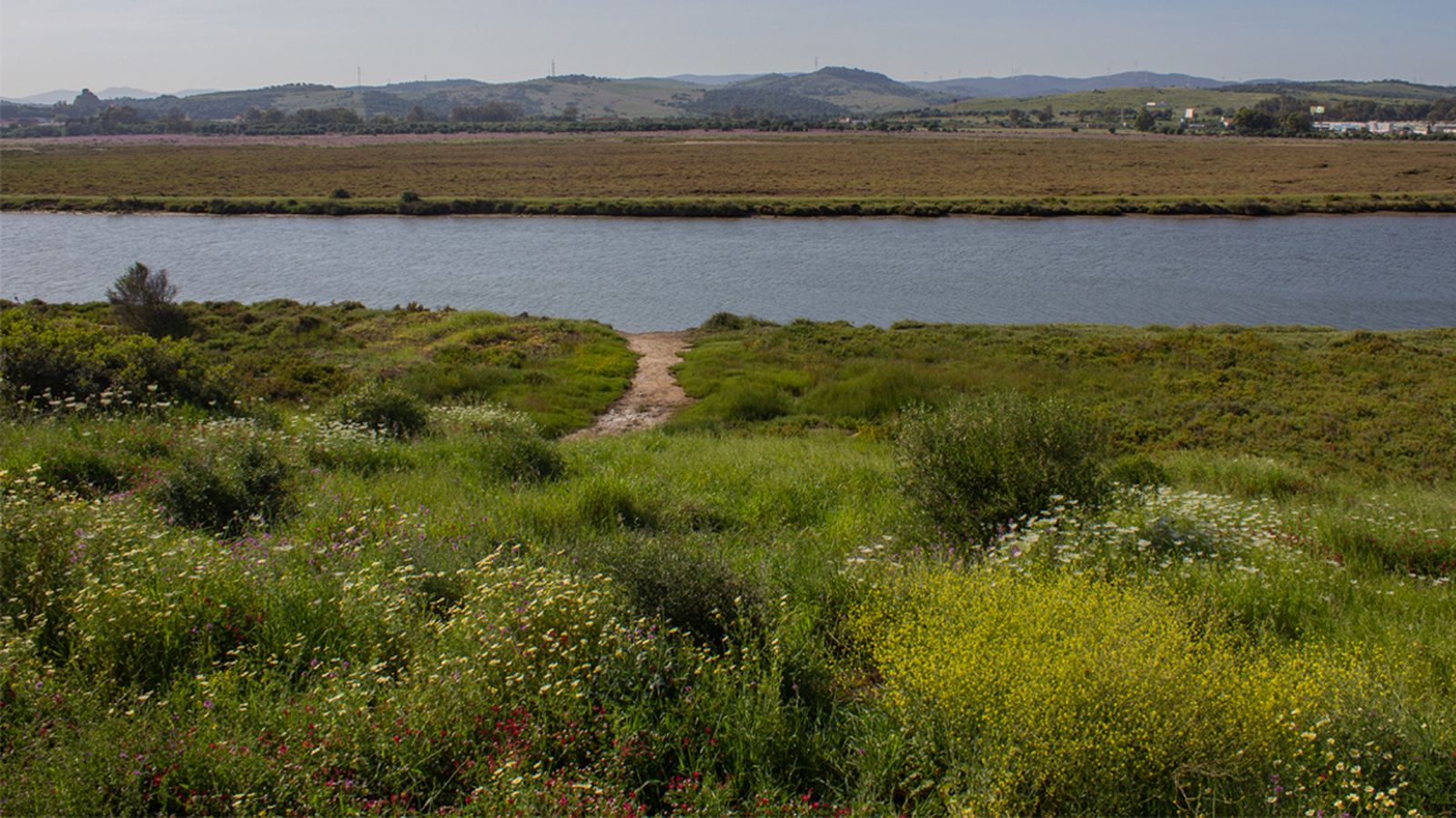Fotos del parque municipal El Torrejón