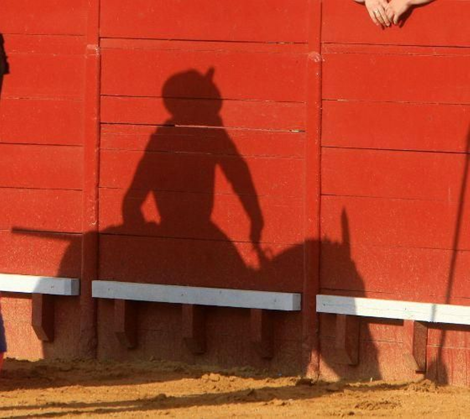 El diestro José Antonio "Morante de la Puebla" protagoniza una actuación magistral, en el cuarto festejo de la Feria del Caballo de Jerez, al cortar dos orejas, que pudieron ser más de haber estado más acertado con los aceros. 

Foto: Juan Carlos Toro