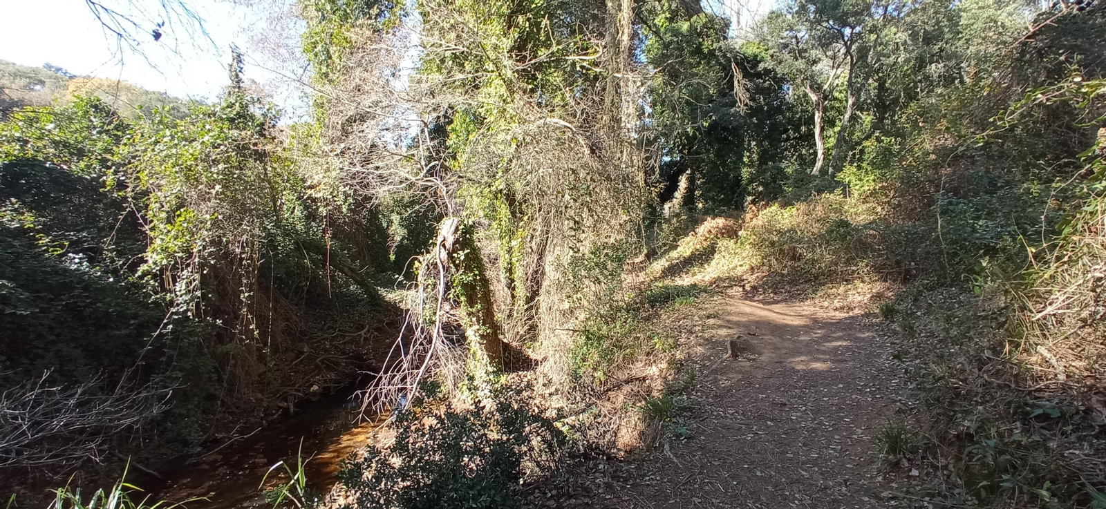 Las imágenes de la ruta de la cascada de Jollarancos y bosque de las letras