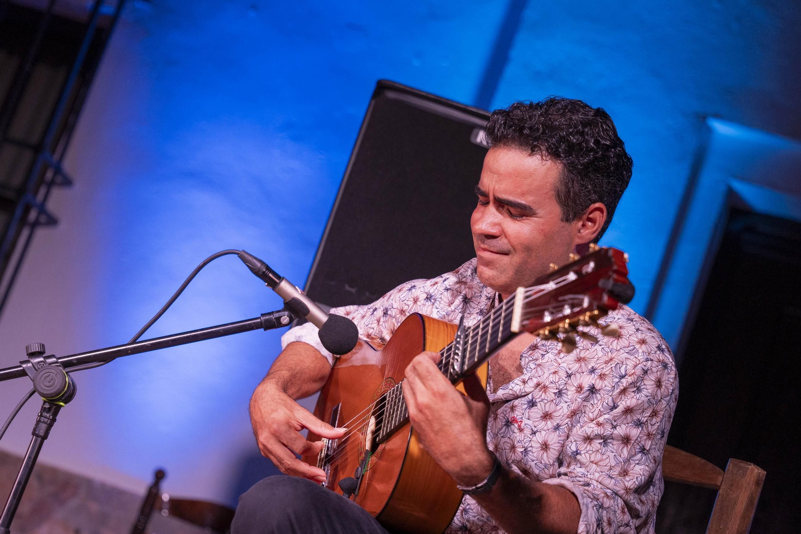 Las mejores imágenes del Festival de Flamenco en Fondón